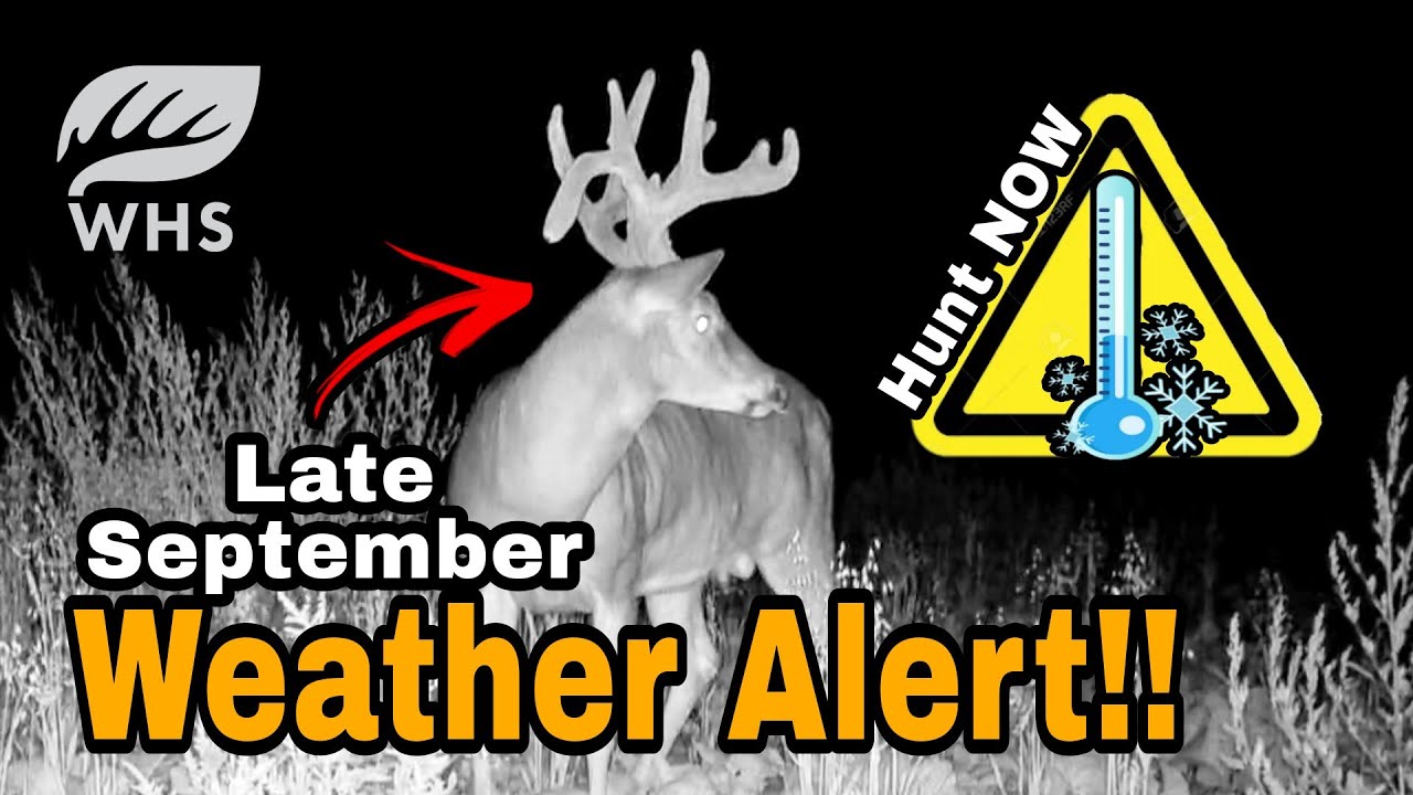 September Deer Hunting Weather Alert! YouTube