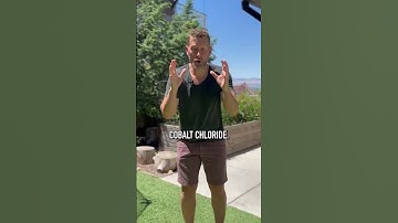 A Non-Toxic Dad Take: Your Cat Litter Is CANCELED🙅🏻‍♂️(Warn Your Hoomans)! #shorts #catlitter