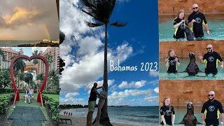 Bahamas vlog 23’ : playing with sealions + Atlantis