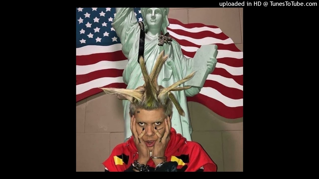 NASCAR ALOE - WHOLE COUNTRY FULL OF IDIOTS