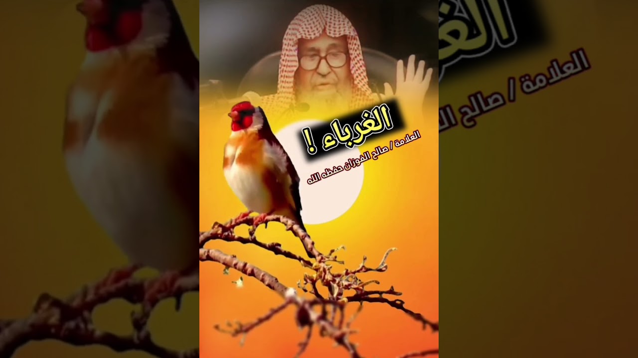 ثم في آخر الزمان إذا كثرت الفتن يعود الإسلام غريبا ولا يتمسك به إلا أفراد ...! للعلامة صالح الفوزان