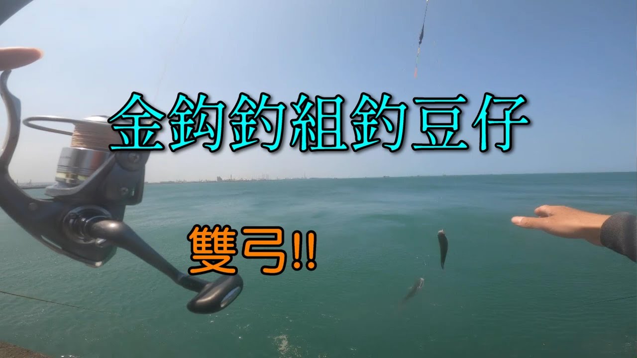 北堤的豆仔魚,大魚不咬的時候珠仔鈎釣組玩玩豆仔魚也是很不錯的 #南投小江 #釣魚  #Taiwan Fishing