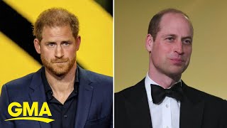 Princes William and Harry appear separately at Diana Awards as royal concerns grow