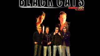 Vignette de la vidéo "Black Cats - Dardesar | بلک کتس - دردسر"