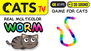 GAME FOR CATS - Real multicolor worm 🪱😻 4K 🔴 60FPS 🕒 3 HOURS [Cats TV] screenshot 3
