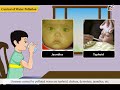 Environmental Interactions and Pollution: Understanding Biotic and Abiotic Factors