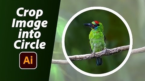 How To Crop an Image Into a Circle In Illustrator