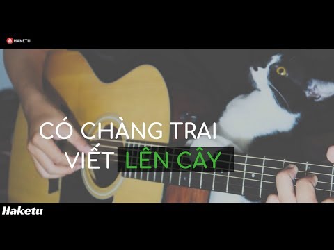 Có chàng trai viết lên cây (Phan Mạnh Quỳnh) Guitar Solo (Fingerstyle)