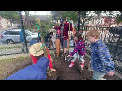 Volunteers beautify Harding University Partnership School with over 100 drought tolerant ...