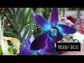 KCET Agriculture Practical 2026 🌸 Flowers | Most Important Questions