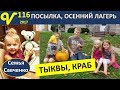 Живой Краб, Тыквы, Осенний детский лагерь, Посылка Будни многодтной семьи Савченко