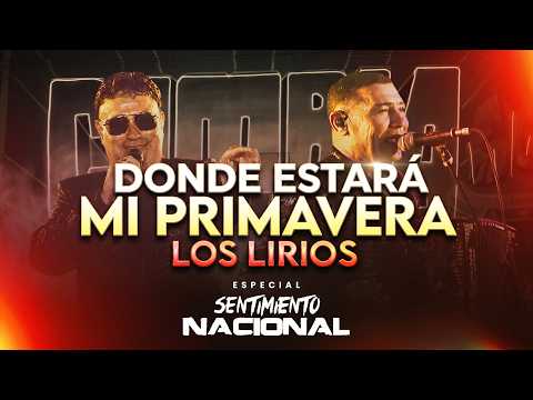 DONDE ESTARÁ MI PRIMAVERA - LOS LIRIOS (En Vivo) | Sentimiento Nacional