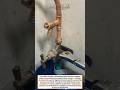 Smart Plumbing Tee Valve Install + Leak-Free Tightening Trick #plumbing #DIY #home