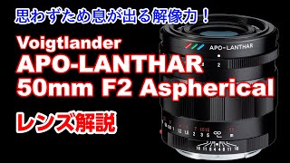 Voigtländer APO-LANTHAR 50mm F2 Asphericalレンズラボ解説