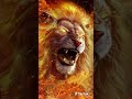 أجمل خلفيات كرستيانو رونالدو