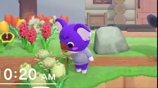 That flower was looking at me funny... - Animal Crossing New Horizons