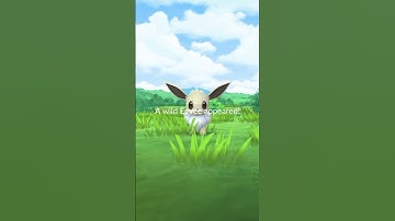 Eevee Community Day Classic- Day 2 #pokemongo #communityday #eevee