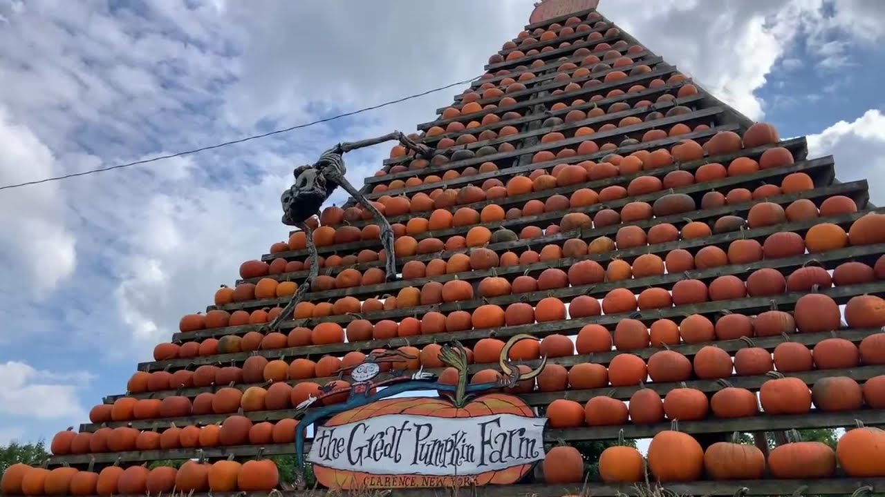 Scenes from opening weekend of Great Pumpkin Farm in Clarence - YouTube