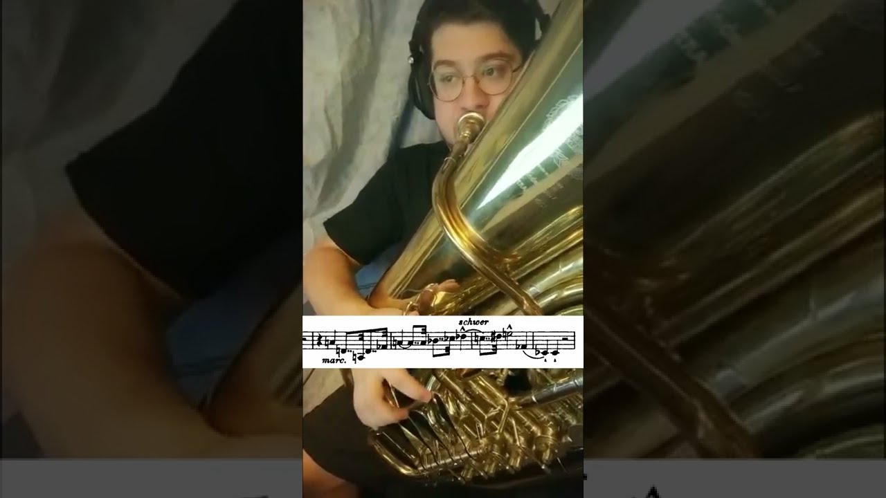 Bruckner No. 7 Mvt IV 