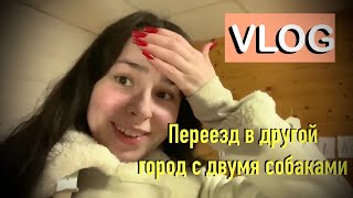 ПЕРЕЕЗЖАЮ В ДРУГОЙ ГОРОД С СОБАКАМИ VLOG ОБЗОР ПОКУПОК ОТПРАВИЛА ВЕЩИ