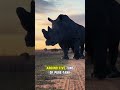 BIGGEST ANIMALS ON EARTH🤯🐋🌍 #animation #biggestanimals #facts #shortsvideo #top5 #wildlife