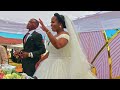 Bopedi Wedding track - Ring Letsogong - Mokgate & Temo Wedding I A Film-Ntwanano Media Karl Explore