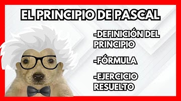 ¡Descubre el Fascinante Principio de Pascal! | Física