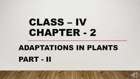 CLASS 4 Science | Ch 2 ADAPTATIONS IN PLANTS (PART - 2)