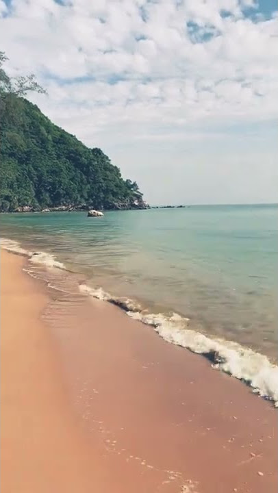 Ocean Life #ocean #lovelystatus #ringtone