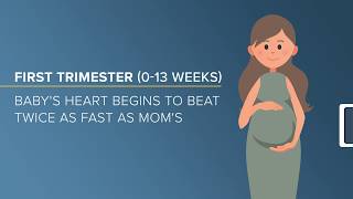 Pregnancy Milestones Guide