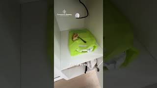 Жк Молжаниново от застройщика Самолет. Не только с мебелью, но и едой!  #приемкаквартир #новостройка