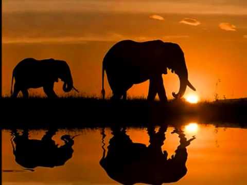 Out of africa - soundtrack  - YouTube.flv