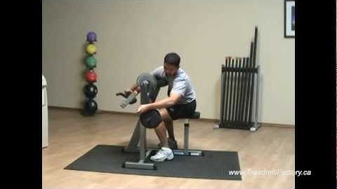 Body-Solid Cam Series Biceps & Triceps Canada