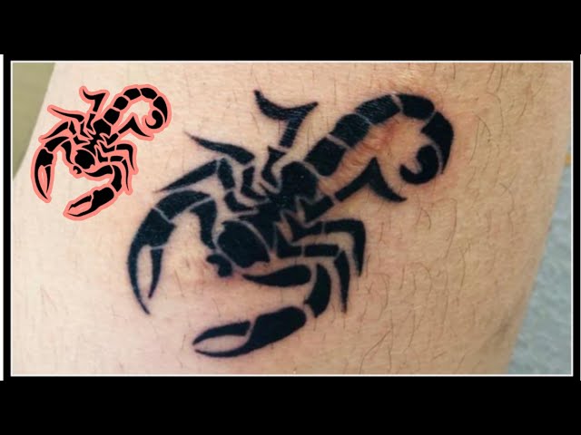 20 top Scorpian Tattoo with Letter ideas in 2024