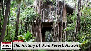 The History of  Fern Forest,  (  Hawaii  County ) Hawaii !!! U.S. History and Unknowns