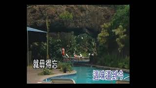 迷人介花香-KTV0320
