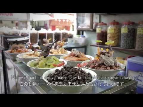 Video [YOKOSO VIETNAM] GIỚI THIỆU VỀ ĐẶC SẢN OMAI - NGÔ... - YouTube