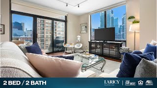 435 W Erie St Unit 1301 Chicago, IL Laricy Properties Drone Tour Listing Video