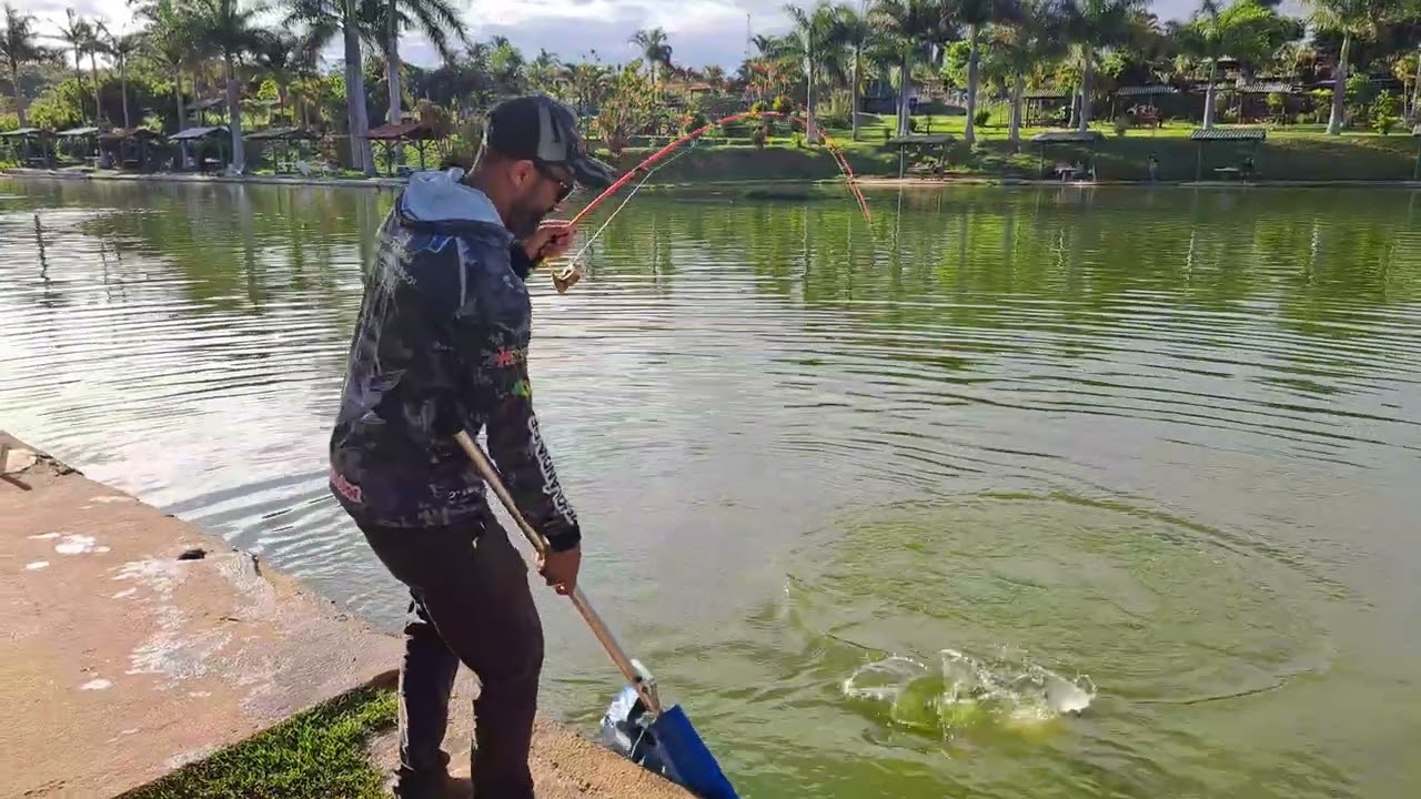 Micro molinete em pesqueiro tira peixe?