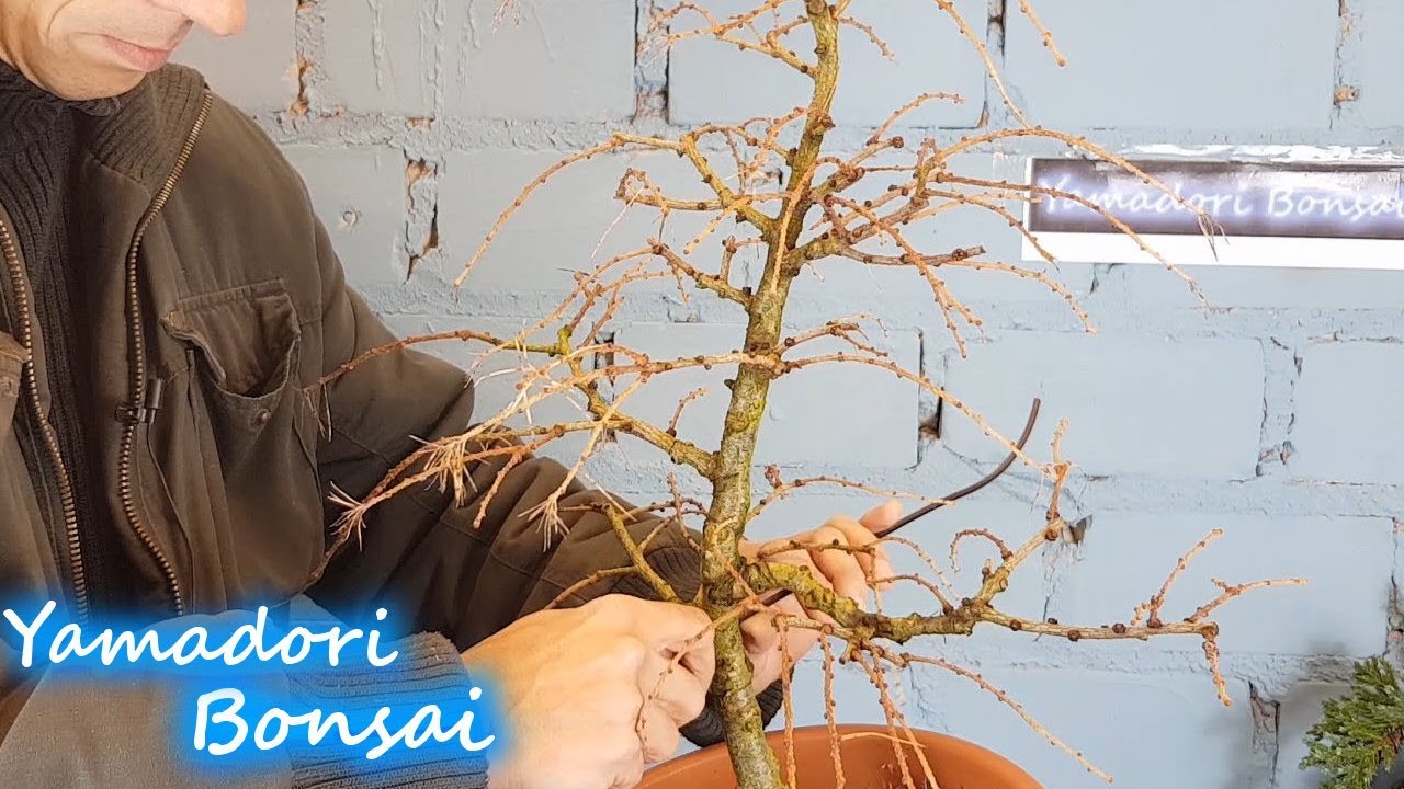 izmi tragetuch bambus IZMI | elastisches Tragetuch aus Bambus-Viskose