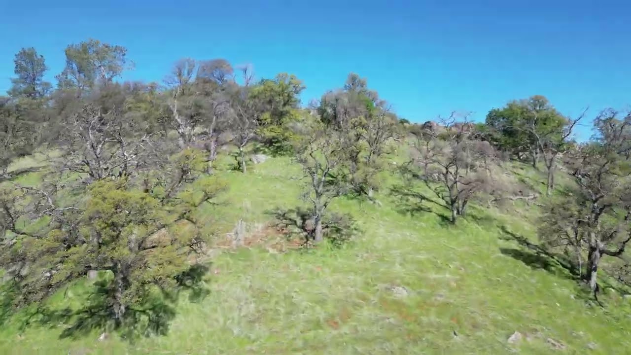 24343 Big Spring Drive Flyover 4