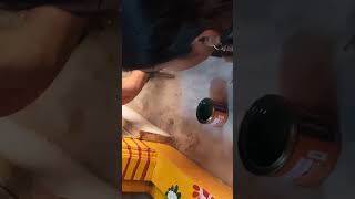 doorstep rangoli
