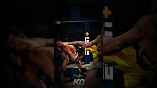 Epic UFC Knockout! 💥 Unbelievable Finish!