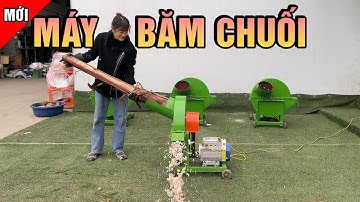 Máy Thái Cây Chuối C600 Băm Thân Cây Chuối Chỉ Mất 4 Giây Giá Chưa Tới 6 Triệu