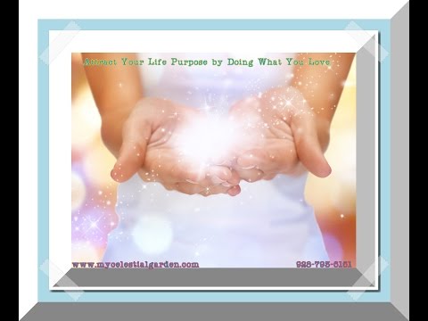 #DreamsDoComeTrue - Attracting your life purpose by doing what you love!