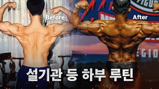 20년간 진행한 등 루틴과 바뀐 등 루틴(등 하부 운동)