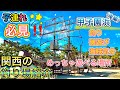 【甲子園浜】サーフでチニング！子どもが喜ぶポイント満載〜関西のおすすめ釣り場紹介〜