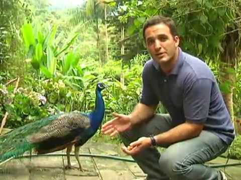 Pousada Sangrilla - Penedo/RJ - Ana Melia na Globo...