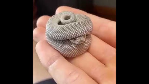 nature watch this shy and handsome  snake👉 #shorts