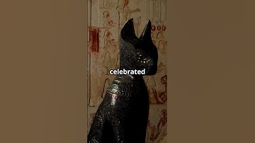 Unraveling the Mysteries of Black Cats